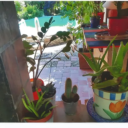 Marie Avec Climatisation Apartman Saint-Hilaire-de-Brethmas