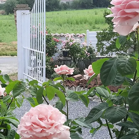Marie Avec Climatisation דירה Saint-Hilaire-de-Brethmas
