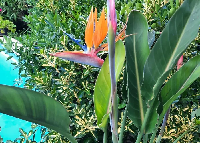 Marie Avec Climatisation * Saint-Hilaire-de-Brethmas