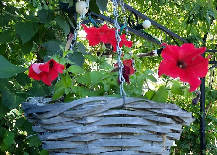 Marie Avec Climatisation Apartment *